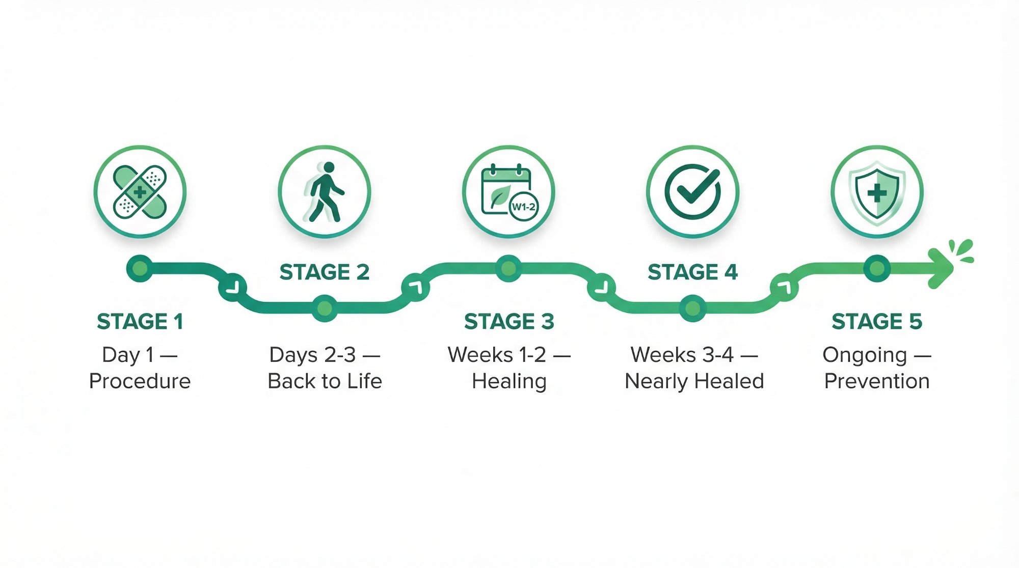 Recovery timeline: Stage 1 Day 1 Procedure, Stage 2 Days 2-3 Back to Life, Stage 3 Weeks 1-2 Healing, Stage 4 Weeks 3-4 Nearly Healed, Stage 5 Ongoing Prevention